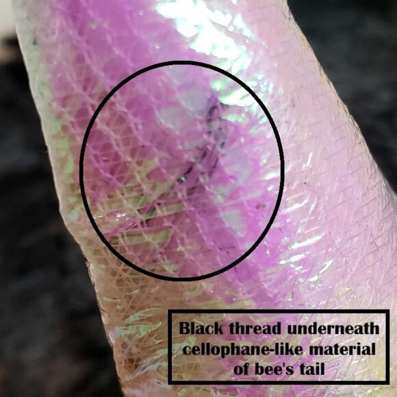 🐝Thrills & Chills Large LED *Light-Up* BUMBLE BEE Pet Dog Halloween Costume - Picture 9 of 17